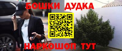дживик Камышлов