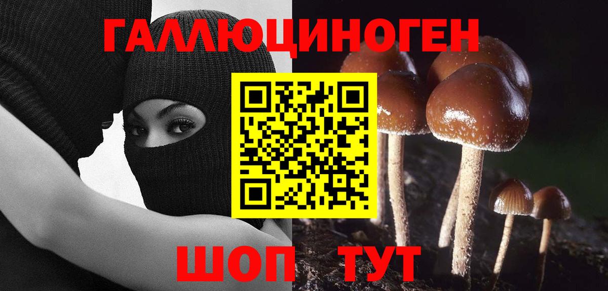Псилоцибиновые грибы Magic Shrooms  Вход с VPN  Галлюциногенные грибы Psilocybe  Кстово 